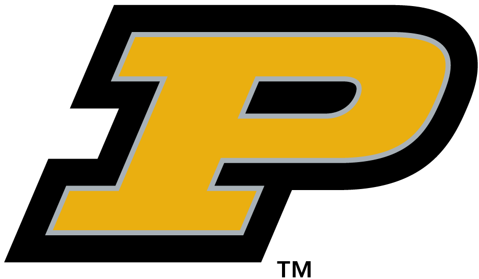 Purdue Boilermakers 1996-2011 Alternate Logo v2 diy DTF decal sticker